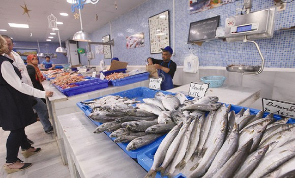 Vente directe des produits de pêche : près de 400 points de vente à travers le pays - Algérie