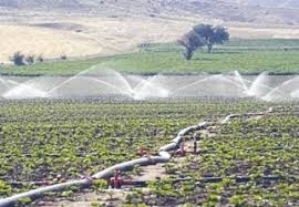 Agriculture Les revenus générés par les produits forestiers dépassent 606 millions de dinars - Algérie