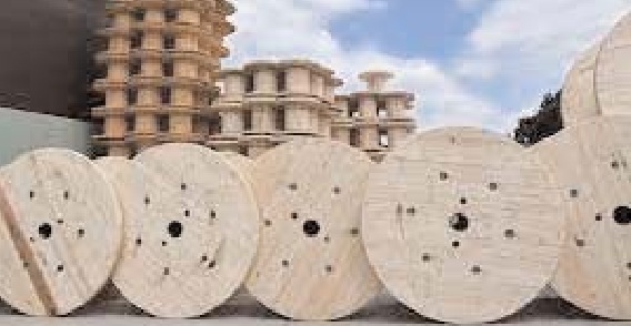Blida: Exportation de près de 500 bobines et accessoires en bois vers le Sénégal - Algérie