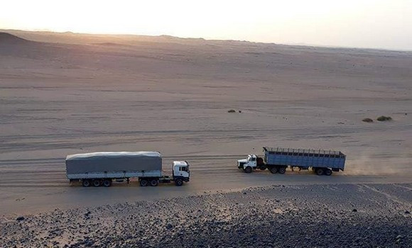 Export : les opérateurs économiques appelés à accéder aux nouveaux marchés africains - Algérie