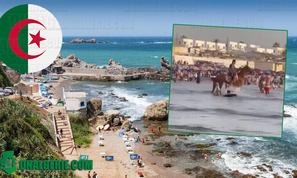 Tourisme en Algérie – « Une honte » : une scène fait froid dans le dos (Vidéo) - Algérie