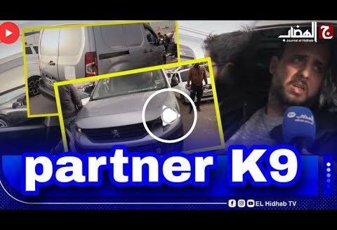 اليوم جبنالكم K9 partner سيري 2022 مولاه عطاوه 407 مليون .. #شاهد شحال حاب يبيعو ؟؟!