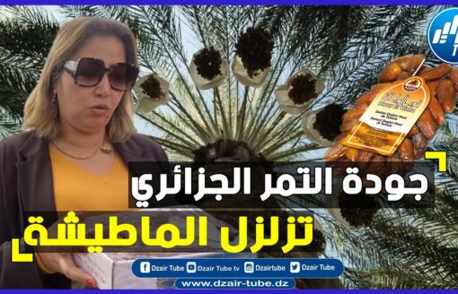 شاهد لماذا يعشق الشعب المغربي تمر صحراء الجزائر…فيديو غرافيك  لقناة دزاير توب يقصف ماطيشة