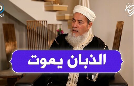 الشيخ شمس الدين.. في الجاهلية كان واحد يعيطولو أبو ذبانة إذا حل فمو الذبان يموت