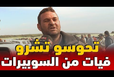 تصريح قوي من مواطن بالسوق السيارات : سومة فيات هايلة والشعب هذا وقيلا يحوس يشريها من السوبيرات