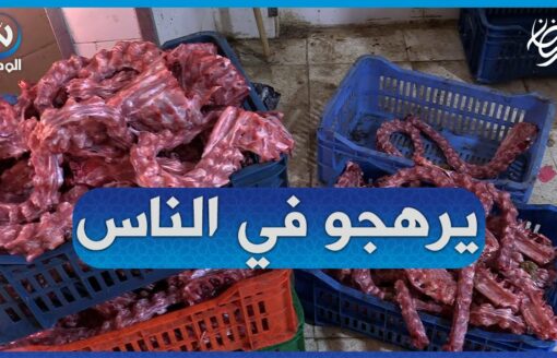 مشاهد صادمة   أمن العاصمة يحجز  قناطير من اللحوم واحشاء الدواجن موجهة لتصنيع شيش كباب!