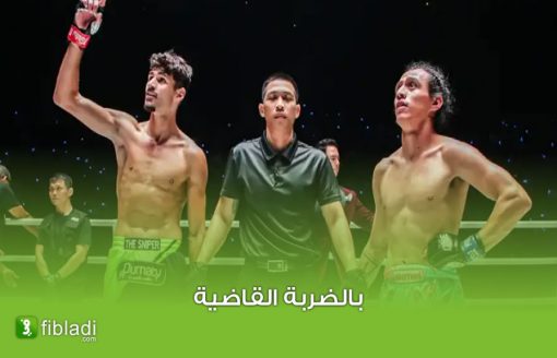 شاهد بالفيديو: مواي تاي… الجزائري إلياس محمودي يحقق انتصارًا مبهرًا على الملاكم المكسيكي “