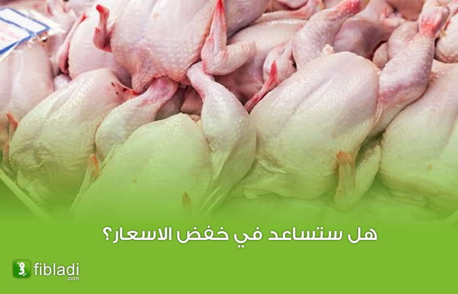 فتح مجال إستيراد اللحوم البيضاء المجمدة في هذه الفترة - الجزائر