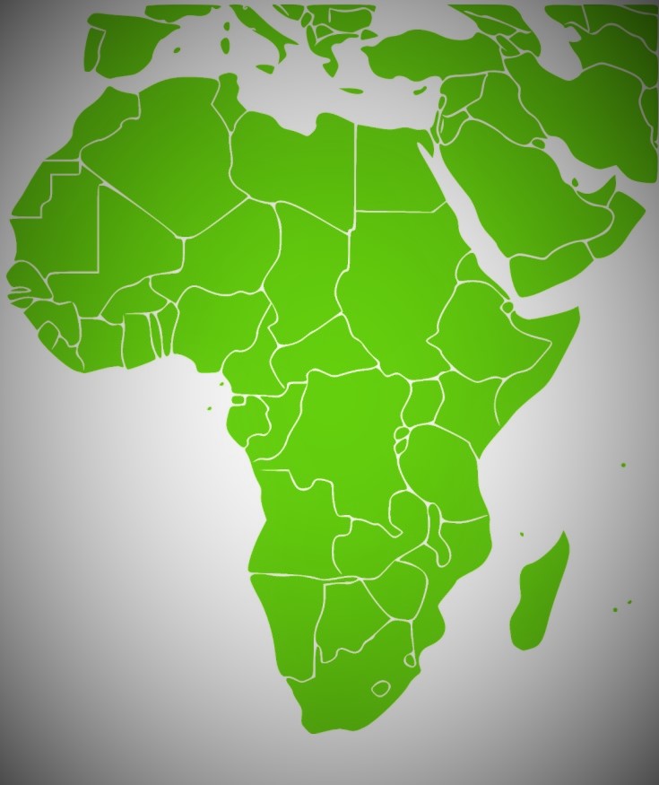 المخاض العسير للتحول الديمقراطي في أفريقيا؟ - الجزائر