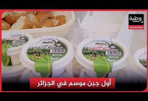 أول جبن موسم في الجزائر 100% طبيعي