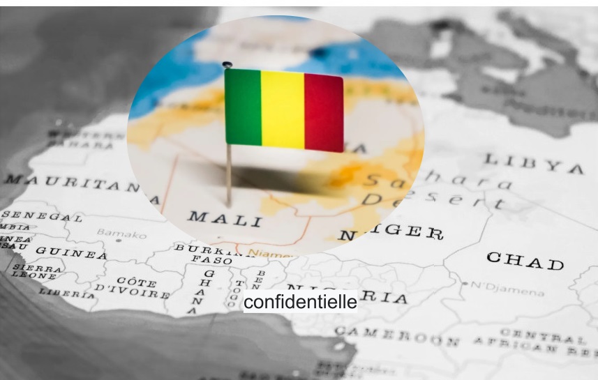 بيان جزائري حول الأوضاع في مالي - الجزائر