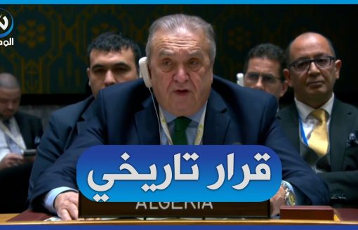 كلمة قوية لممثل الجزائر في مجلس الأمن حول قرار محكمة العدل الدولية