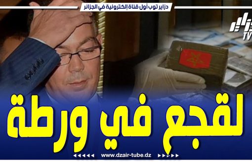 🔴شاااهد مباشر ..نشرة دزاير توب  ..خبر عاجل  جدا ..كارثة …المنتخب المغربي تحت الصدمة