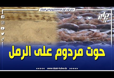 شاهد..مطعم الأمير للسمك برغاية..أطباق متنوعة..حوت مردوم على الرمل..بنة وسومة..ويجوه من كل بلاصة