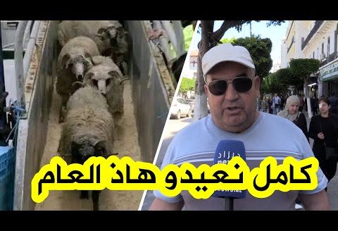 “نشكرو رئيس ديالنا لخمم فينا” شاهد كيف عبر هذا المواطن عن فرحته واعجابه بقرار استيراد الأغنام