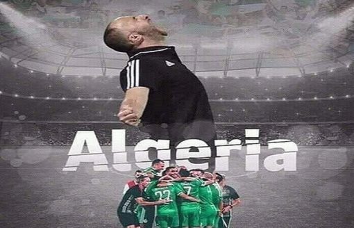 أجمل 28 صورة للمنتخب الجزائري بعد التأهل الى الدور النصف نهائي لكأس أمم افريقيا 2019