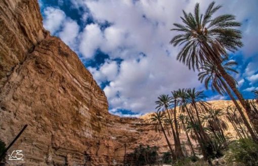 من أجمل خبايا الطبيعة في الجزائر… تعرف على شرفات غوفي بـ 15 صورة رائعة