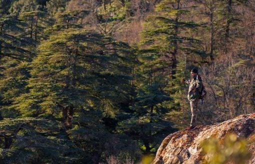 في الجزائر..تمتع بأجمل المناظر من ولاية تيسمسيلت بـ13 صورة