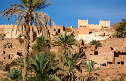 تعرف على واحة بني عباس …جوهرة في قلب الصحراء الجزائرية