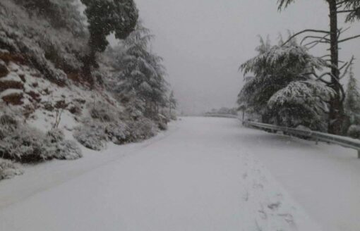 المدن الجزائر تكتسي الأبيض..شاهد جمالها تحت الثلوج