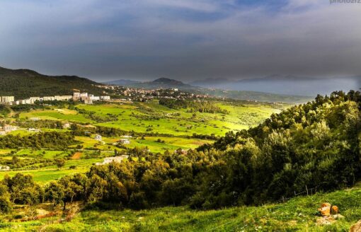 غابة اعكوران .. ملاذ لعشاق الطبيعة والباحثين عن الراحة والهدوء