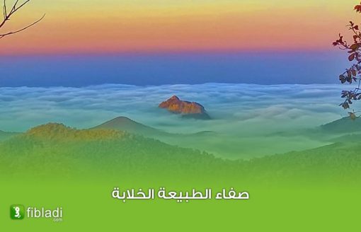 جبال ايدوغ بـ 23 صورة… روعة من روائع كوكب الجزائر