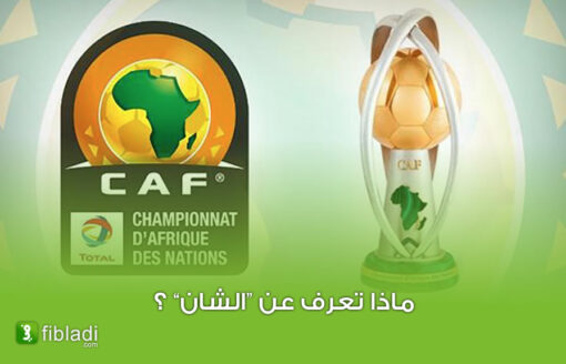 الجزائر تحتضن الطبعة الـسابعة… 5 أشياء يجب معرفتها عن بطولة أمم أفريقيا للمحليين
