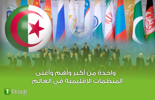 5 مكاسب استراتيجية للجزائر بعد انضمامها لمنظمة شنغهاي …إكتشفها