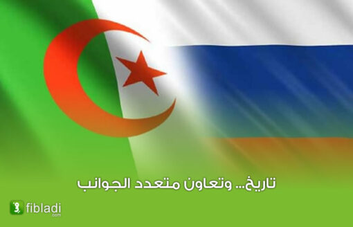 رؤية شاملة: ملامح العلاقات الجزائرية الروسية في 5 محاور
