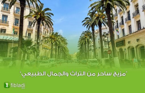 صحيفة بريطانية شهيرة تدرج مدينة جزائرية في قائمة أفضل 9 وجهات سياحية لهذا العام