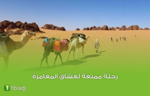أفضل 4 مسارات للمشي في الصحارى حول العالم: القائمة تضم الصحراء الجزائرية